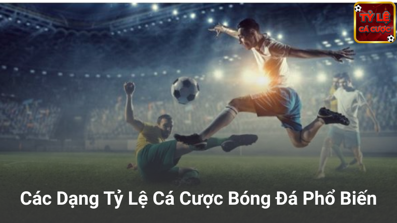 Các Dạng Tỷ Lệ Cá Cược Bóng Đá Phổ Biến