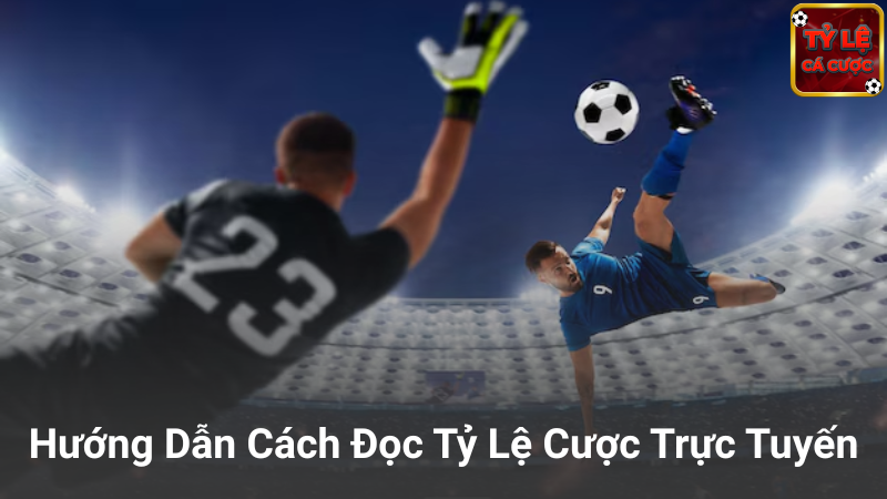 Hướng Dẫn Đọc Bảng Tỷ Lệ Cá Cược Cho Người Mới