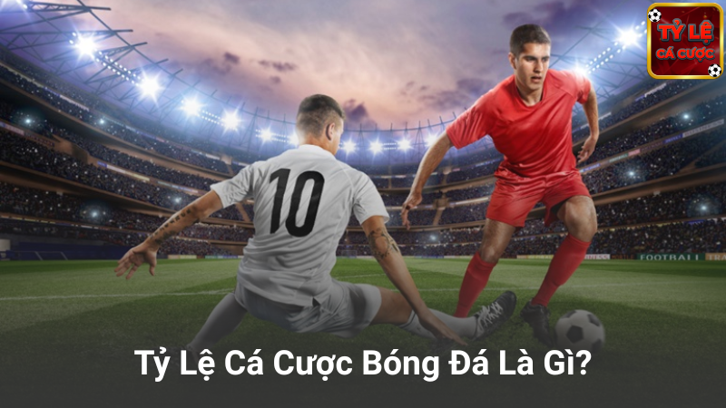 Tỷ Lệ Cá Cược Bóng Đá Là Gì?